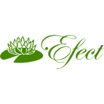 logo-efect
